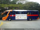 Viação Piracicabana 1461 na cidade de São Paulo, São Paulo, Brasil, por Paulo Ricardo. Número da foto: #473560.