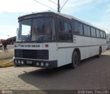 Grupo Dona do Meu Coração 9207 na cidade de Campo Alegre, Santa Catarina, Brasil, por Andrews  Fuscolin. Número da foto: #485335.