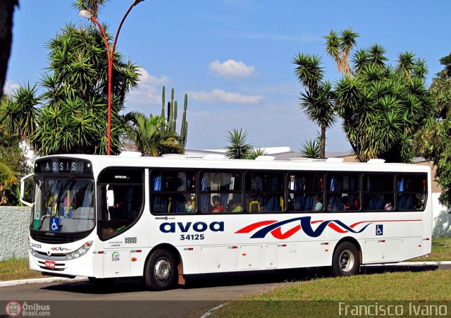 AVOA - Auto Viação Ourinhos Assis 34125 na cidade de Ourinhos, São Paulo, Brasil, por Francisco Ivano. Número da foto: #486704.