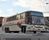 Pluma Conforto e Turismo 3949 na cidade de Sorocaba, São Paulo, Brasil, por EDUARDO - SOROCABUS. Número da foto: #487017.
