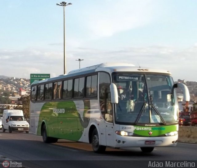 Pássaro Verde 2408 na cidade de Belo Horizonte, Minas Gerais, Brasil, por Adão Raimundo Marcelino. ID da foto: 488552.