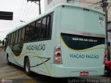 Viação Falcão 022 na cidade de Quatis, Rio de Janeiro, Brasil, por Guilherme Afonso Sfbus. Número da foto: #489768.