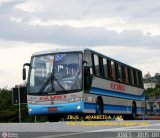 Empresa de Ônibus Vila Elvio 4600 na cidade de Aparecida, São Paulo, Brasil, por Jones Bh. Número da foto: #490978.