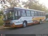 Transportes NK 0256 na cidade de Santa Maria, Rio Grande do Sul, Brasil, por Vinicius Druzian. Número da foto: #490365.