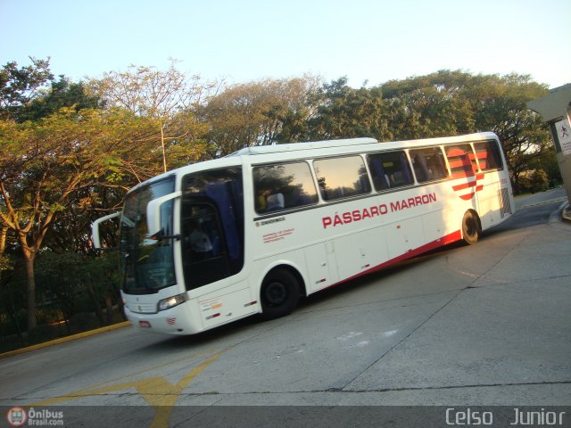Empresa de Ônibus Pássaro Marron 5503 na cidade de São Paulo, São Paulo, Brasil, por Celso  Junior. Número da foto: #493708.