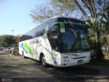 Ipojucatur 539 na cidade de São Paulo, São Paulo, Brasil, por Celso  Junior. Número da foto: #494364.