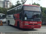 Pluma Conforto e Turismo 3942 na cidade de São Paulo, São Paulo, Brasil, por Paulo Ricardo. Número da foto: #497509.