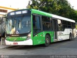 Viação Santa Brígida 1 1900 na cidade de São Paulo, São Paulo, Brasil, por Luiz Fernando Maximo. Número da foto: #497620.