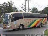 Grutas Turismo 2500 na cidade de Rio de Janeiro, Rio de Janeiro, Brasil, por Alexandre  Magnus. Número da foto: #498544.