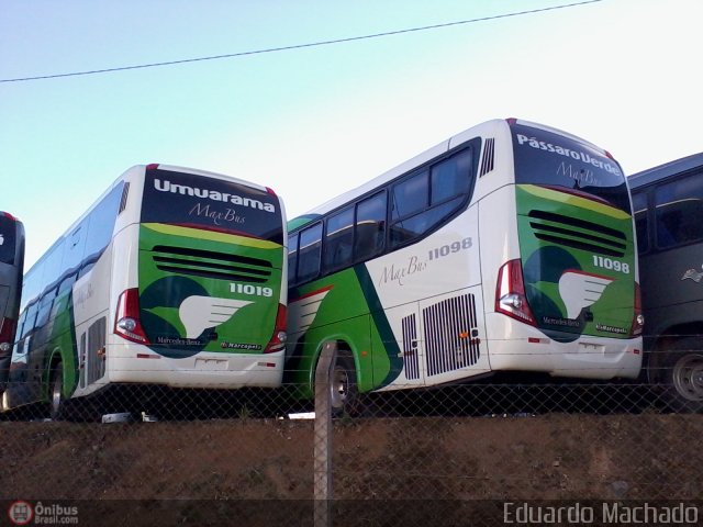 Viação Umuarama 11019 na cidade de Caxias do Sul, Rio Grande do Sul, Brasil, por Eduardo Machado. Número da foto: #499520.
