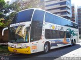 Politur Viagens e Turismo 11010 na cidade de Maceió, Alagoas, Brasil, por Willian Pontual. Número da foto: #500573.