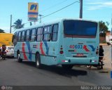 Viação Cidade Luz 40603 na cidade de Fortaleza, Ceará, Brasil, por Nildo Barroso. Número da foto: #505465.