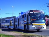 Restinga Transportes Coletivos 2405 na cidade de Porto Alegre, Rio Grande do Sul, Brasil, por Eduardo Machado. Número da foto: #505095.