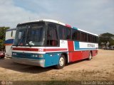Expresso Vitória de Transportes 350 na cidade de Guaíba, Rio Grande do Sul, Brasil, por Eduardo Machado. Número da foto: #506061.