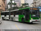 Viação Santa Brígida 1 1791 na cidade de São Paulo, São Paulo, Brasil, por Luiz Fernando Maximo. Número da foto: #506428.