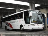 Transpen Transporte Coletivo e Encomendas 34081 na cidade de Curitiba, Paraná, Brasil, por Wagner Domingos Ivanesken. Número da foto: #506709.