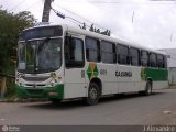 Rodoviária Caxangá 809 na cidade de Olinda, Pernambuco, Brasil, por Jefferson Alexandre. Número da foto: #507425.