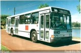 TCGL - Transportes Coletivos Grande Londrina 1110 na cidade de Londrina, Paraná, Brasil, por André Aguirra Taioqui. Número da foto: #509188.