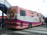 Ônibus Particulares BEATRIZ na cidade de São Paulo, São Paulo, Brasil, por Rafael Santos Silva. Número da foto: #476436.