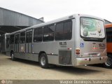 Viação Tamandaré 16L25 na cidade de Colombo, Paraná, Brasil, por Wagner Domingos Ivanesken. Número da foto: #475853.