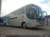 Transportes Thomaz 0101 na cidade de Aparecida, São Paulo, Brasil, por Celso  Junior. Número da foto: #511544.