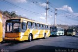 Viação Paraense 9239 na cidade de Belo Horizonte, Minas Gerais, Brasil, por Lucas Leite. Número da foto: #479761.