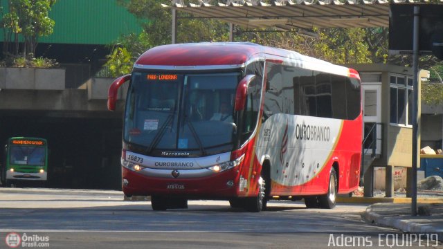 Viação Ouro Branco 16873 na cidade de São Paulo, São Paulo, Brasil, por Adems  Equipe 19. Número da foto: #482911.