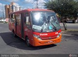 Viação Princesinha do Sertão A234 na cidade de Feira de Santana, Bahia, Brasil, por Juniorr Bastos. Número da foto: #482875.