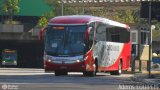 Viação Ouro Branco 16873 na cidade de São Paulo, São Paulo, Brasil, por Adems  Equipe 19. Número da foto: #482911.