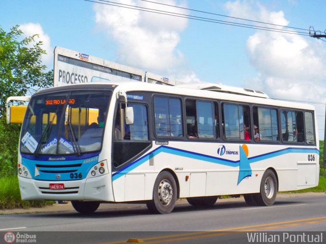 Transporte Tropical 036 na cidade de Maceió, Alagoas, Brasil, por Willian Pontual. Número da foto: #528059.