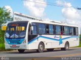 Transporte Tropical 036 na cidade de Maceió, Alagoas, Brasil, por Willian Pontual. Número da foto: #:id.
