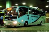 Transnorte - Transporte e Turismo Norte de Minas 48600 na cidade de Belo Horizonte, Minas Gerais, Brasil, por Adão Raimundo Marcelino. Número da foto: #528918.