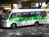 Cootarde 521469 na cidade de Brazlândia, Distrito Federal, Brasil, por Clébio Júnior. Número da foto: #530308.