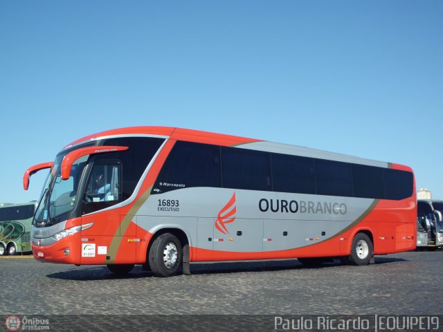 Viação Ouro Branco 16893 na cidade de Londrina, Paraná, Brasil, por Paulo Ricardo. Número da foto: #532236.
