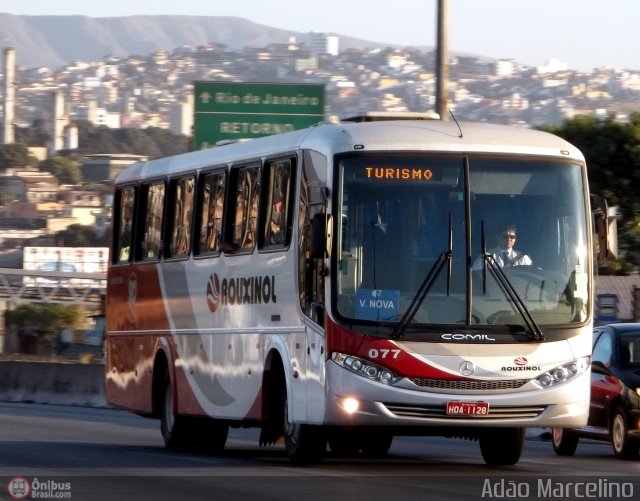 Rouxinol 077 na cidade de Belo Horizonte, Minas Gerais, Brasil, por Adão Raimundo Marcelino. Número da foto: #532619.