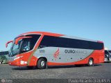 Viação Ouro Branco 16893 na cidade de Londrina, Paraná, Brasil, por Paulo Ricardo. Número da foto: #532236.