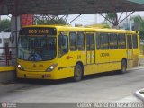Auto Viação Critur 270 na cidade de Criciúma, Santa Catarina, Brasil, por Cleber  Mariot do Nascimento. Número da foto: #533787.