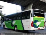 Pássaro Verde 1022 na cidade de Belo Horizonte, Minas Gerais, Brasil, por Sérgio A.  B.  Canuto. Número da foto: #:id.