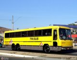 Viação Itapemirim 30173 na cidade de Muriaé, Minas Gerais, Brasil, por José Goulart. Número da foto: #540069.