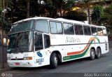 Viação Niterói 1065 na cidade de Belo Horizonte, Minas Gerais, Brasil, por Adão Raimundo Marcelino. Número da foto: #:id.