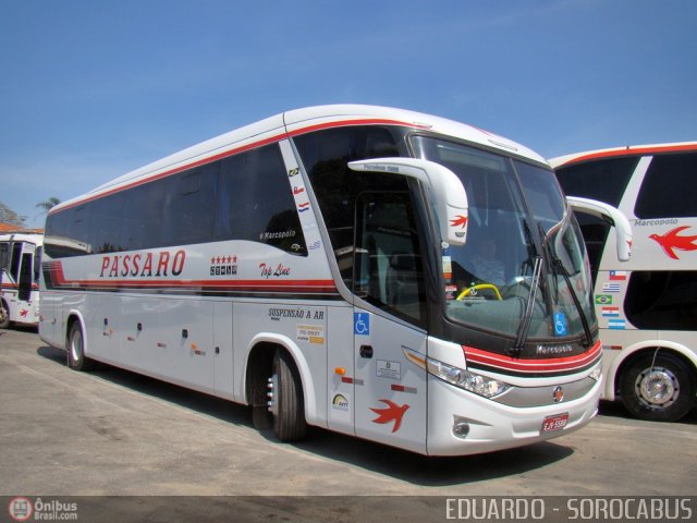 Pássaro Prata Transportadora Turística 5588 na cidade de Sorocaba, São Paulo, Brasil, por EDUARDO - SOROCABUS. ID da foto: 548478.