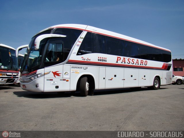 Pássaro Prata Transportadora Turística 5588 na cidade de Sorocaba, São Paulo, Brasil, por EDUARDO - SOROCABUS. Número da foto: #548449.