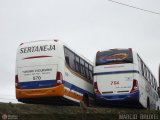 Viação Sertaneja 570 na cidade de Caxias do Sul, Rio Grande do Sul, Brasil, por Marcio  Bruxel. Número da foto: #518015.