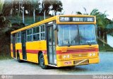 Gidion Transporte e Turismo 494 na cidade de Joinville, Santa Catarina, Brasil, por Andrews  Fuscolin. Número da foto: #554383.