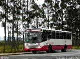 Empresa de Ônibus Pássaro Marron 1902 na cidade de Guaratinguetá, São Paulo, Brasil, por Mateus C. Barbosa. Número da foto: #:id.