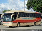 Auto Viação Goianésia 167003-0 na cidade de Goiânia, Goiás, Brasil, por Douglas Andrez. Número da foto: #519208.
