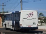 Turismar Transporte e Turismo 260 na cidade de Marília, São Paulo, Brasil, por Zéeh | Equipe19. Número da foto: #525794.