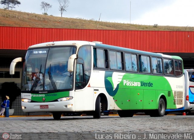 Pássaro Verde 27018 na cidade de João Monlevade, Minas Gerais, Brasil, por Lucas  Ribeiro. Número da foto: #565554.