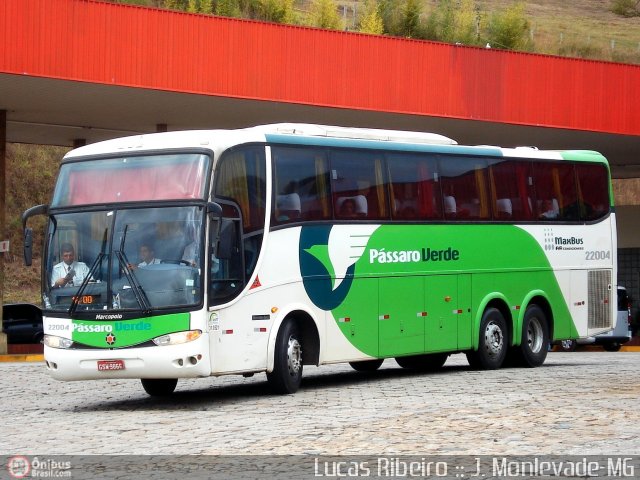 Pássaro Verde 22004 na cidade de João Monlevade, Minas Gerais, Brasil, por Lucas  Ribeiro. Número da foto: #565551.