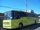 Estrada Real Turismo 7028 na cidade de Juiz de Fora, Minas Gerais, Brasil, por Luiz Krolman. Número da foto: #565315.